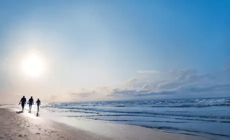 Chauffe-eau solaire : une énergie renouvelable pour réchauffer votre eau !