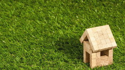 maison bois herbe