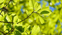 Changer vos appareils de chauffage et d’eau chaude sanitaire : Le printemps c’est le bon moment !