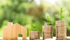 maison bois pièces économies énergie plantes