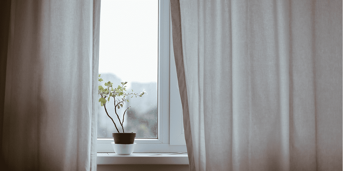 plante devant fenêtre et rideaux